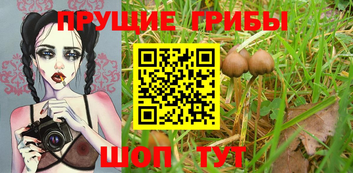 Псилоцибиновые грибы MAGIC MUSHROOMS  Вход с VPN  Галлюциногенные грибы Psilocybe  Артёмовский 
