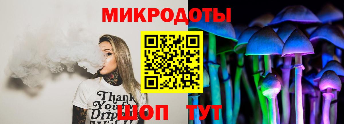 Псилоцибиновые грибы Psilocybine cubensis Артёмовский